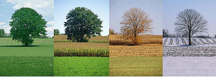 《地铁》系列新作正在开发中 新截图泄露